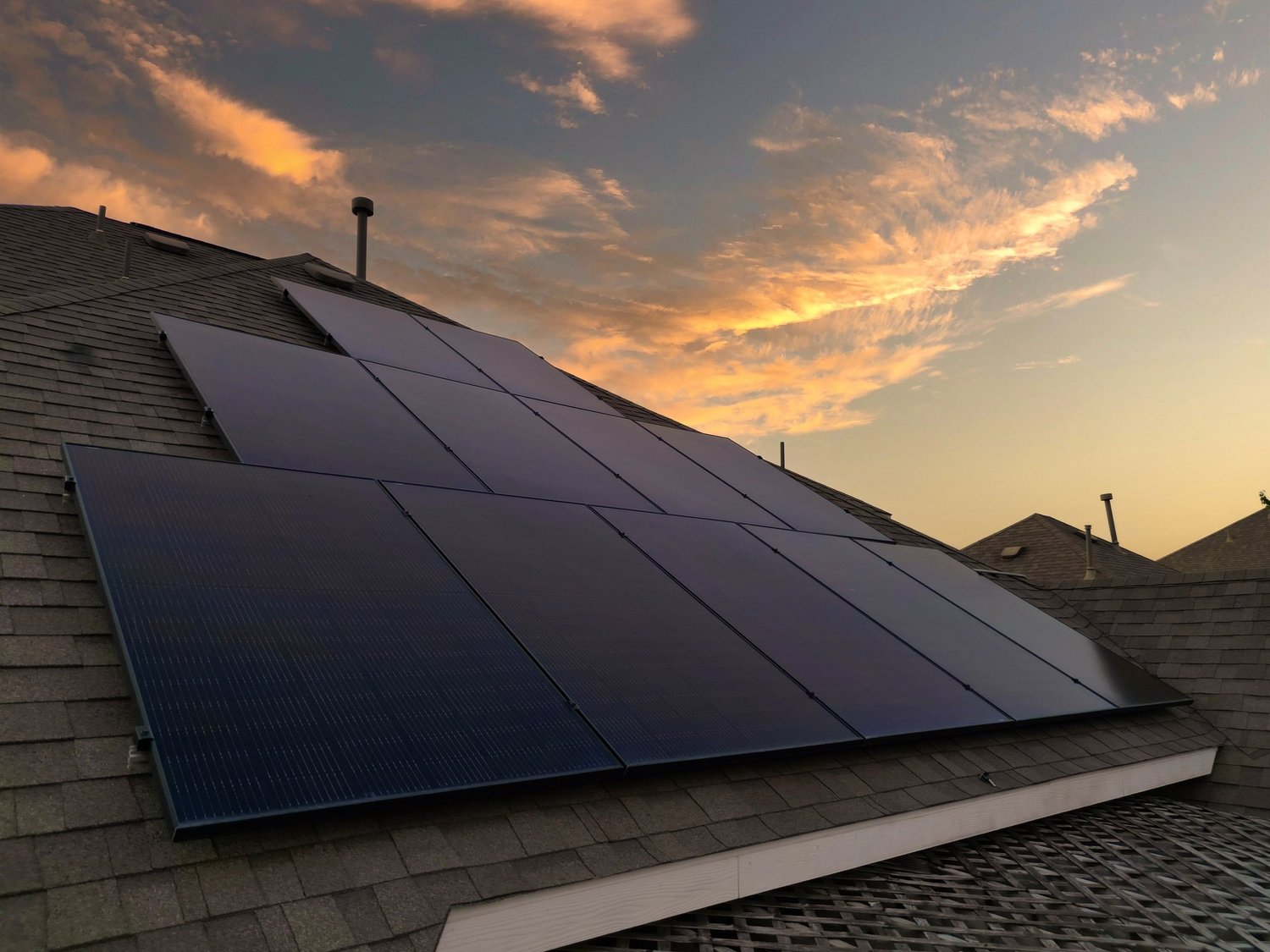 Solar panels near flowering vegetation